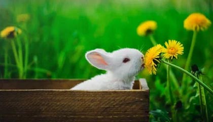 天博体育官网-首秀建功！马竞反击2打4，卢克曼连续横切后低射破门